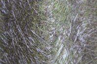 Reeth fibreglass roof work