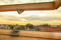 rated Reeth roof window companies